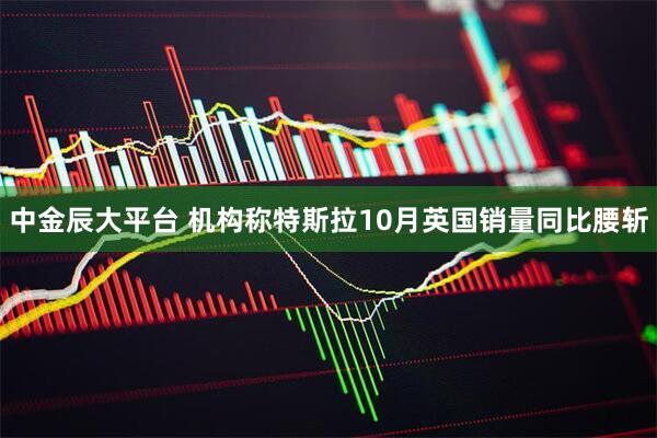 中金辰大平台 机构称特斯拉10月英国销量同比腰斩