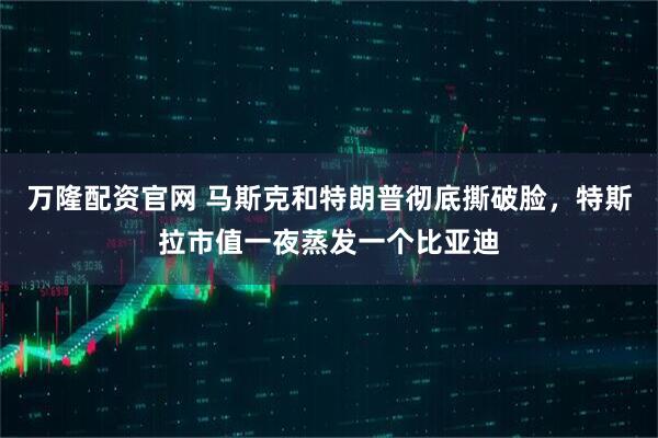 万隆配资官网 马斯克和特朗普彻底撕破脸，特斯拉市值一夜蒸发一个比亚迪