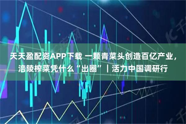 天天盈配资APP下载 一颗青菜头创造百亿产业，涪陵榨菜凭什么“出圈”｜活力中国调研行